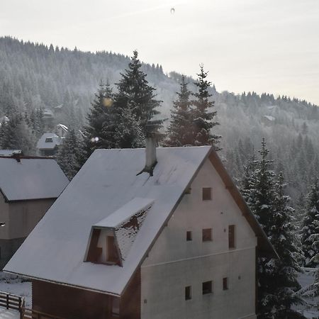 Vila Irina Kopaonik Exterior foto