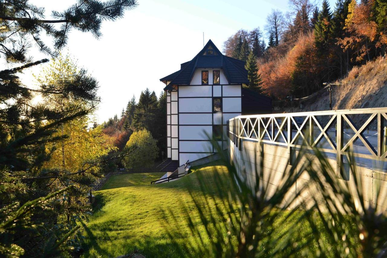 Vila Irina Kopaonik Exterior foto